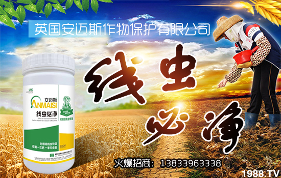 ���~˹���ﺞ�s���r(n��ng)���W(w��ng)�����_�W(w��ng)�j(lu��)������������