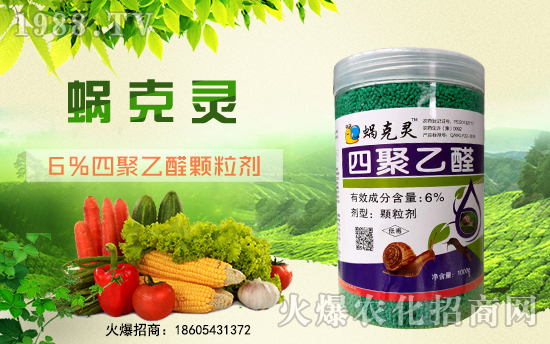 ��¡�r(n��ng)�I(y��)�m(x��)�s1988.TV���y�ֹ���(chu��ng)���x����