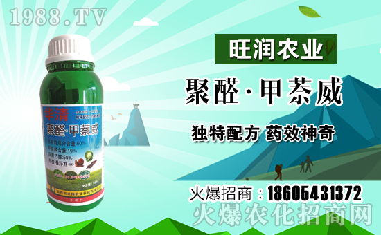 ��¡�r(n��ng)�I(y��)�m(x��)�s1988.TV���y�ֹ���(chu��ng)���x����