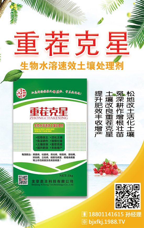 �������x���^�m(x��)�����r���W(w��ng)��ӭϲ�S�Ƽ����v��