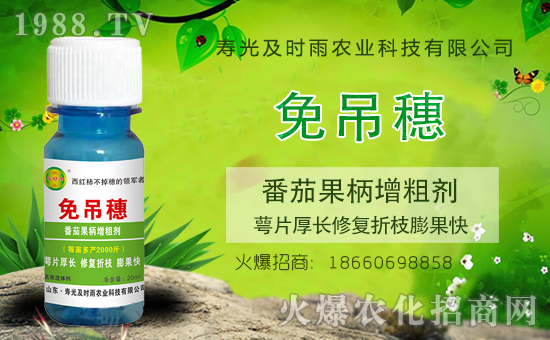 �r(n��ng)���W(w��ng)ϲӭ���������۹⼰�r��ɹ����s1988.TV��