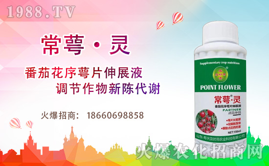 �r(n��ng)���W(w��ng)ϲӭ�����ѣ��۹⼰�r��ɹ����s1988.TV��