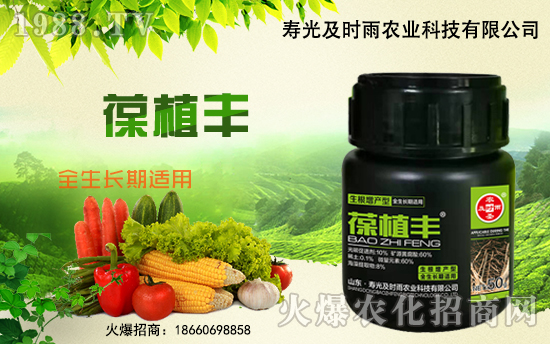 �r(n��ng)���W(w��ng)ϲӭ�����ѣ��۹⼰�r��ɹ����s1988.TV��