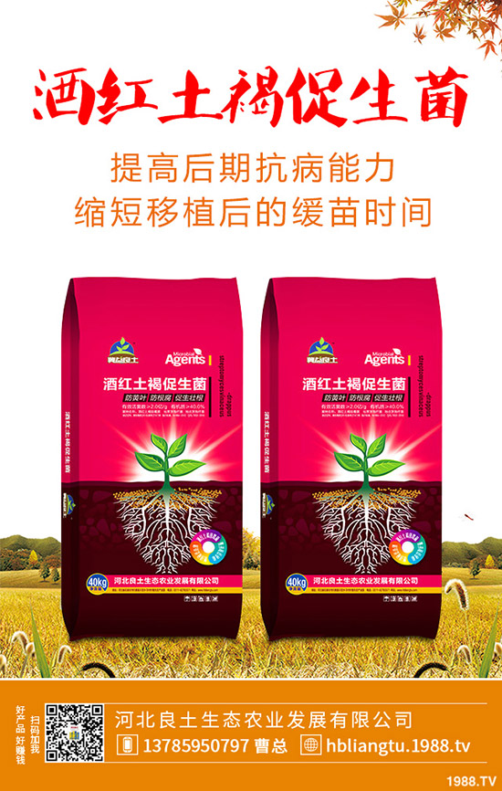 �{��ʲô�r(sh��)��Nֲ�^�����{�˵ķNֲ���g(sh��)�c���g����