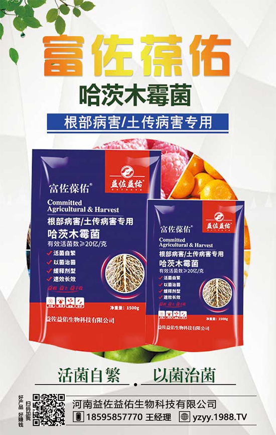 ���^����ʲô�I(y��ng)�B(y��ng)�r(ji��)ֵ�������^��ʲô��̎��