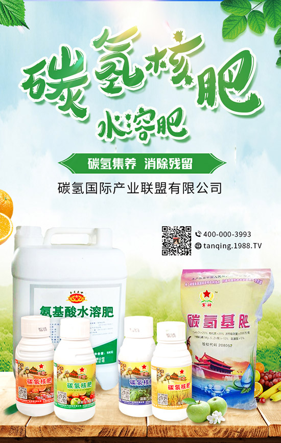     5�¿��ԷNʲô����5���߲˷Nֲָ�ϼ���ע�����(xi��ng)��