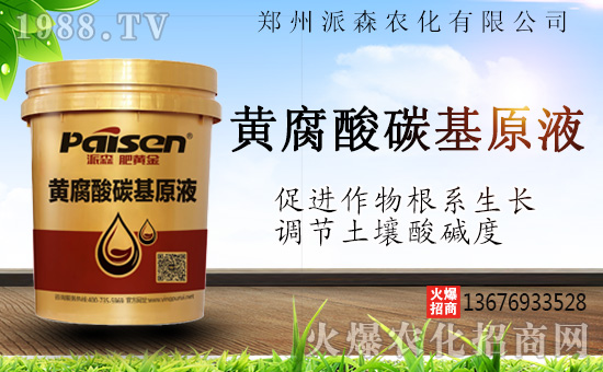 ������ɭ�r(n��ng)���ٺ�1988.TV����(zh��n)�Ժ����P(gu��n)ϵ�������_�A��