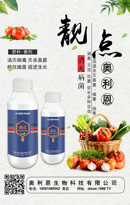 ���[���L��������c�����[�����_ʩ�ʷ���