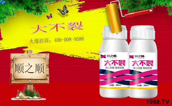 ���r(n��ng)���W(w��ng)ϲӭ�������������֮혻𱬁�(l��i)�u�����v�ɹ���