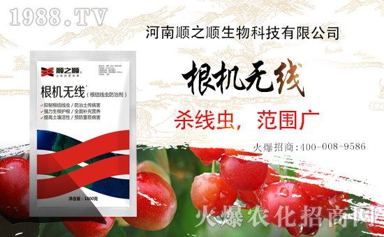 ���r(n��ng)���W(w��ng)ϲӭ�����ѣ������֮혻𱬁�(l��i)�u�����v�ɹ���