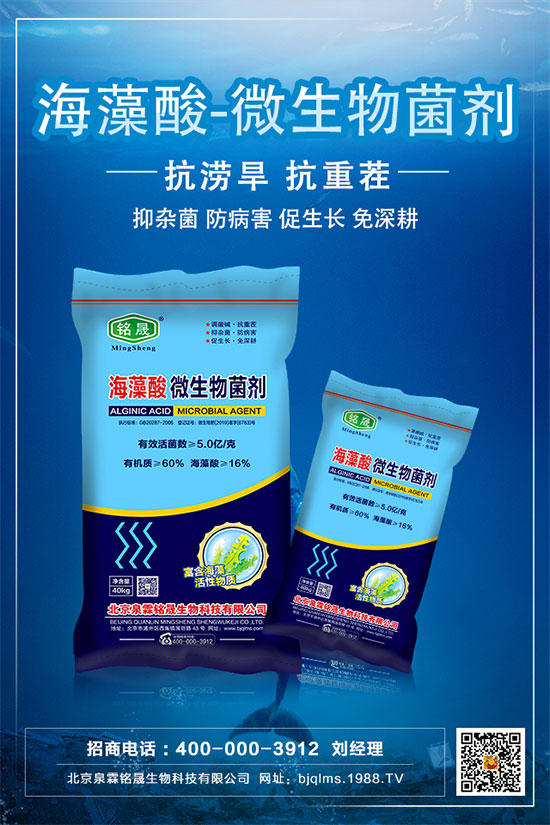     ����ֻ�_�����Y(ji��)����ʲôԭ��������������Ľ�Q��ʩ��