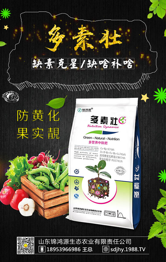 火龍果育苗方法有哪些,火龍果育苗要點及苗期管理!