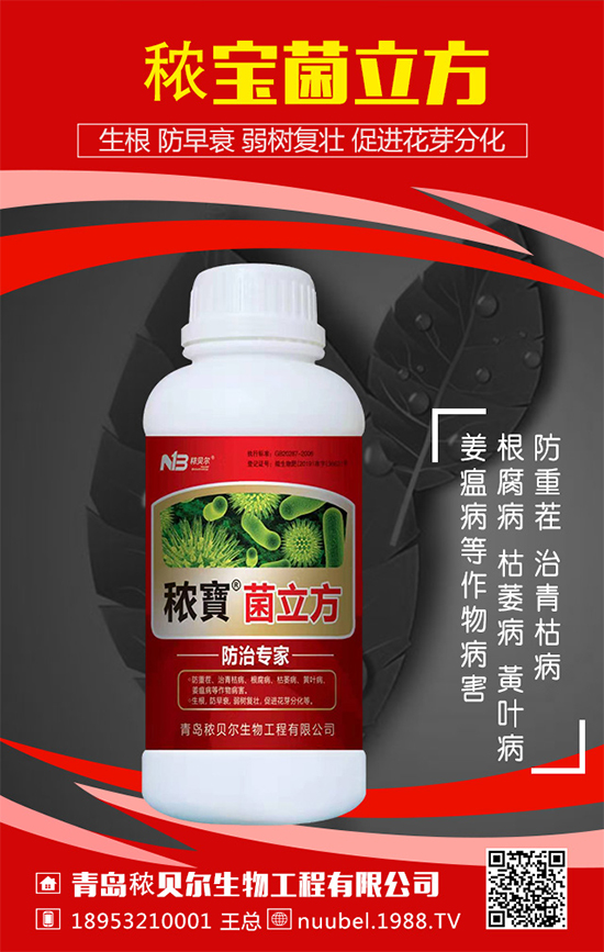 ���J��ô���N���������J�Ĳ��N���������L�^����