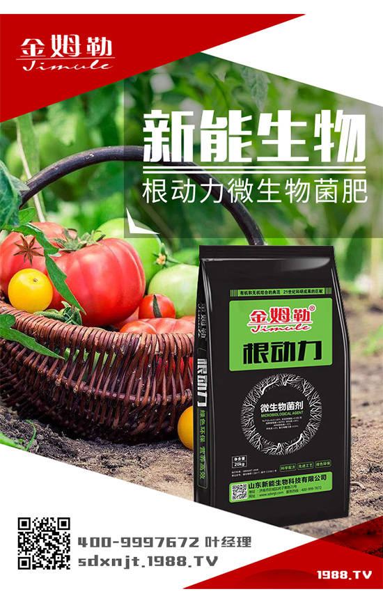 �������\�l(f��)չ��ɽ�|�����ٺ�1988.TV�_��(chu��ng)���x����