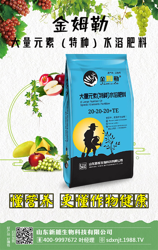 �������\�l(f��)չ��ɽ�|�����ٺ�1988.TV�_��(chu��ng)���x�ͣ�