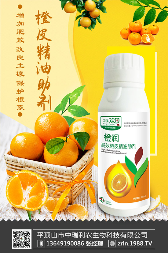 ����������(j��)���������r(n��ng)�ٺ����r(n��ng)�����̾W(w��ng)�������W(w��ng)�j(lu��)����·��