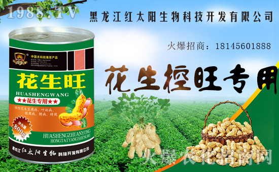 �������������t̫������ٺ�1988.TV���y�ֹ��A2020��