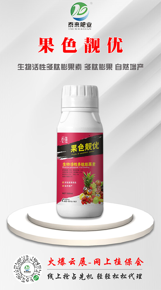 ̩����H�ʘI(y��)�ٺ����r(n��ng)���W(w��ng)�����󌍬F(xi��n)�v�w����