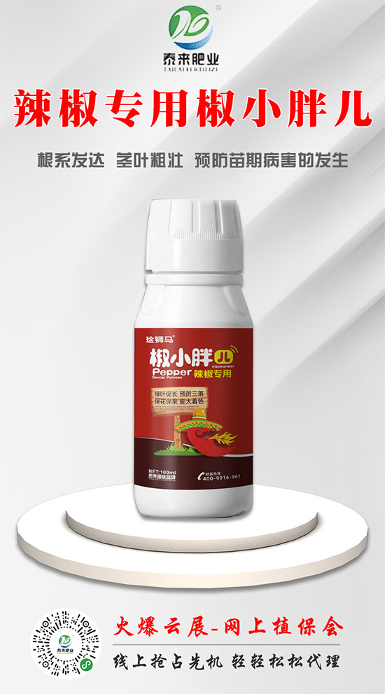 ̩����H�ʘI(y��)�ٺ����r(n��ng)���W(w��ng)�����󌍬F(xi��n)�v�w����