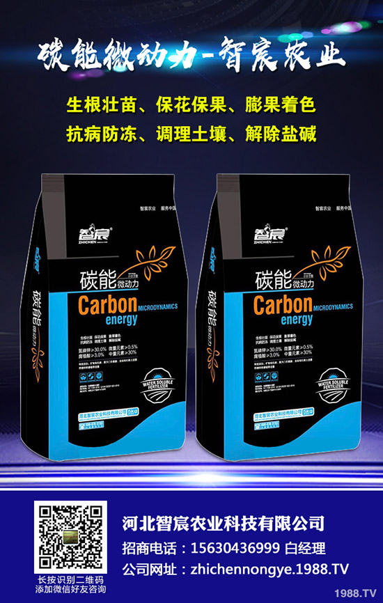 西瓜的需肥特性，西瓜施肥四禁忌！