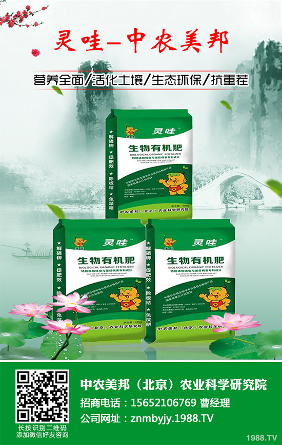 ���᳣Ҋ��������Щ��ԓ����A(y��)�������Ს���İl(f��)���c������