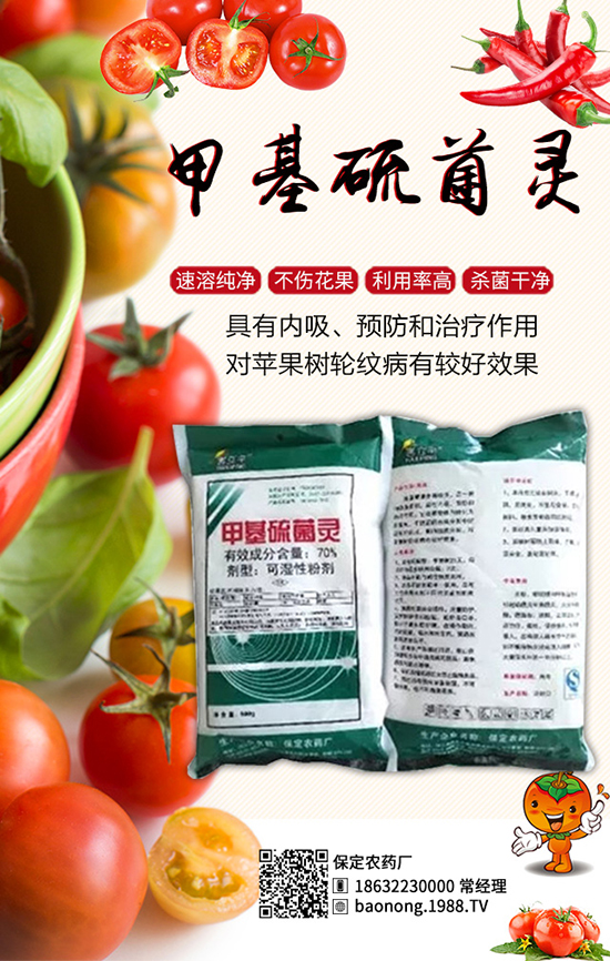 ������������أ���Ч����â���ǰ��������u���