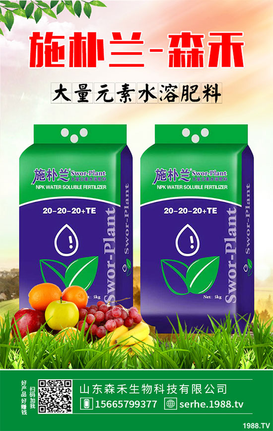 �R���r(ji��)�񲻔����ߣ��ܷ��^�m(x��)��(ji��n)ͦ��2020���R����Nֲǰ������