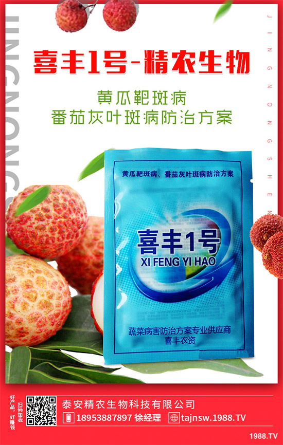 �V���X�ݷNֲ��Ҫ��Щ�l�����V���X��Ǥ������Ҫ�c��