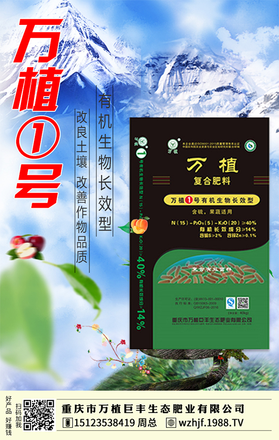     ��(zh��n)�Ժ���������(j��)���f(w��n)ֲ���S�y��1988.TV�ل�(chu��ng)�x����