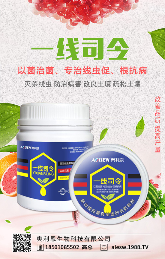 ���X����ô�B(y��ng)�����X���B(y��ng)ֳ��������Щ��