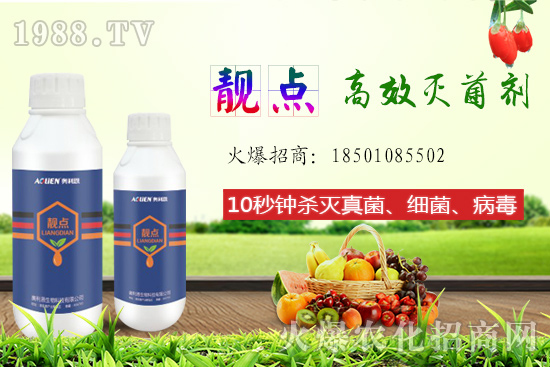 ����Ƭ��ʲô�������ԙ�����ʲô��̎��