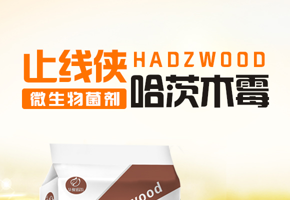 ΢�����������ľù-ֹ���b-�Z��_01