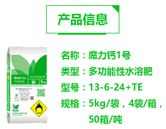 �๦����ˮ�ܷ�13-6-24+TE-ħ���}1̖-�������Q(m��o)_02