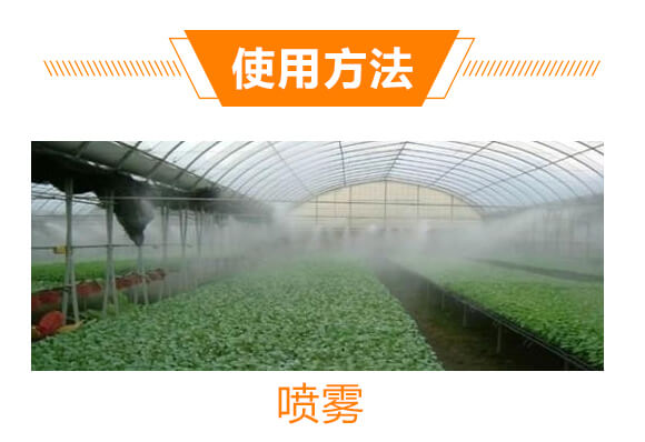 20%���ݿ�-��Ҋ(ji��n)-��ʯ����_06