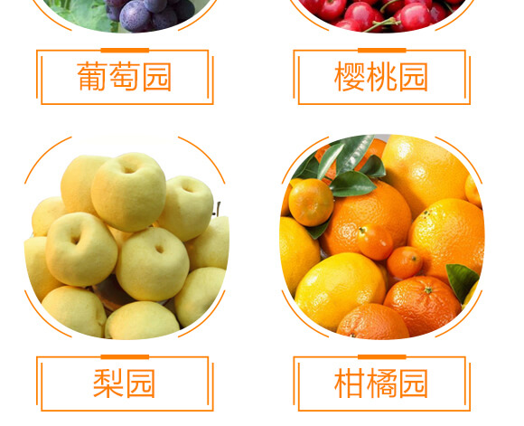 20%���ݿ�-��Ҋ(ji��n)-��ʯ����_08