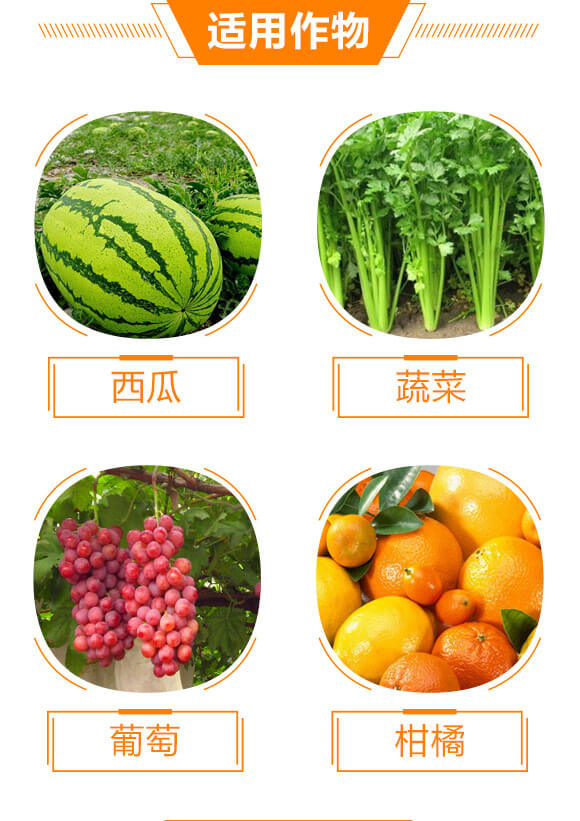 43%聯(lián)苯肼酯-易滿屠-科利農(nóng)_04