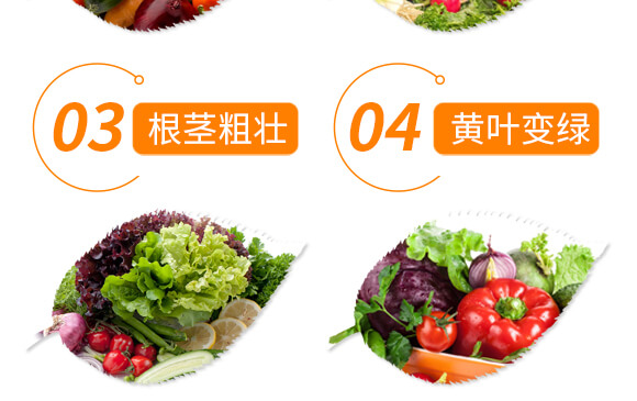 ��������-������-��������_06