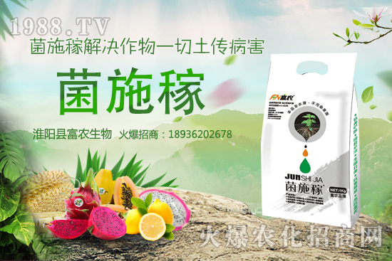 2020���r(n��ng)��NҰ��ٍ�X�����x����ЩҰ��Ʒ�NЧ��������h�ղ���