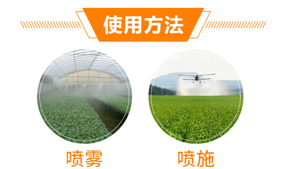 ��������-������-��������_07