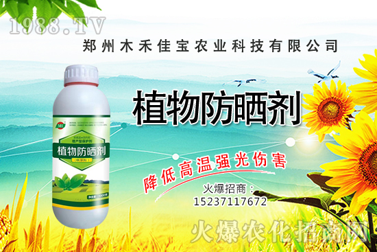 ������(sh��)�Nֲ����Ҫ�c(di��n)����Щ��������(sh��)���Է�����