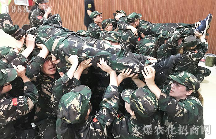 用心感悟，用心收獲！