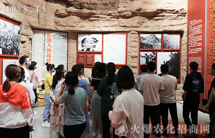 ��P(y��ng)�t�����ľ��񡪡������������D���^��