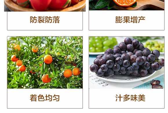 �t֮��-�|����-������_04