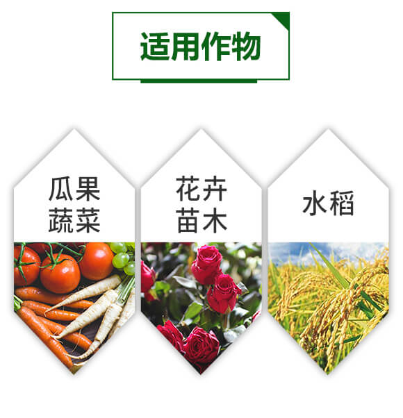 超能有機質(zhì)膨果素-鋪滿天-天葉生物_05