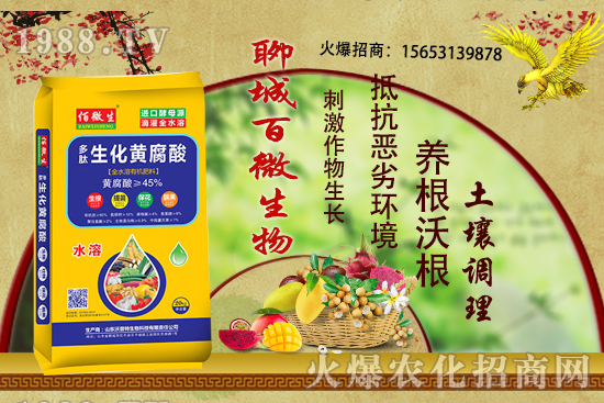 ������ʲô�r��׷������ʲô���ϣ�����׷����ʲôע�������