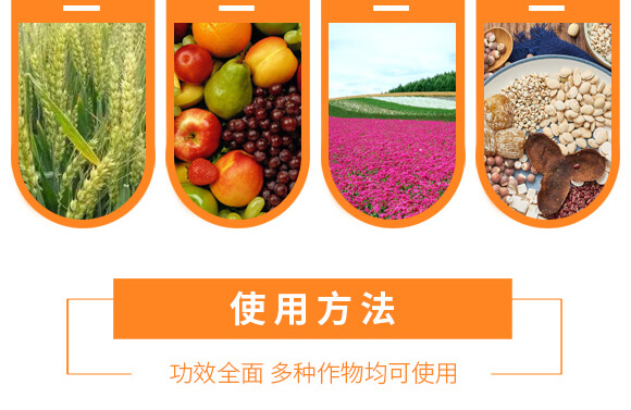 �r(n��ng)��ڈ@���＼�g(sh��)���޹�˾1_13