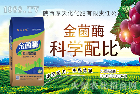 �Nһ���O���ĳɱ��Ƕ������ж����������O���Nֲ���g(sh��)�c������