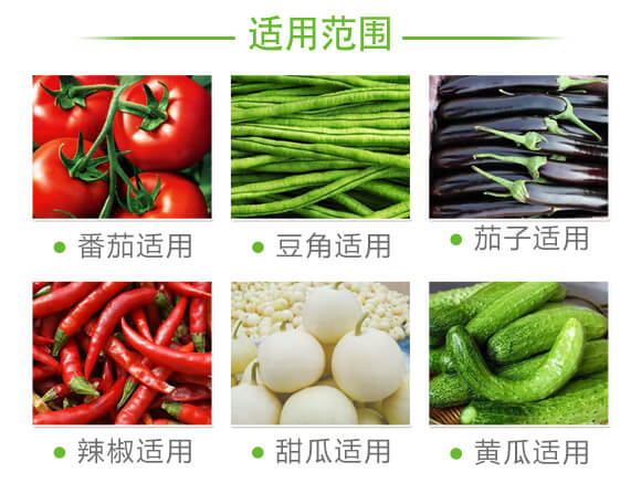 蚜虱片-茄果通用（西紅柿、茄子、黃瓜、辣椒、甜西瓜等）_07