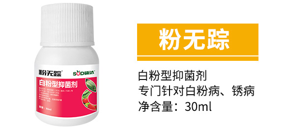 白粉型抑菌劑-粉無蹤-碩達_05