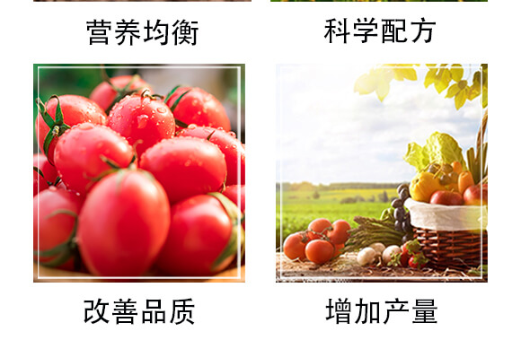 生物有機(jī)肥-豐農(nóng)_05